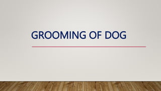 GROOMING OF DOG
 