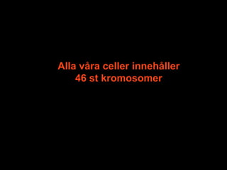 Alla våra celler innehåller 46 st kromosomer 
