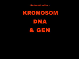 KROMOSOM & GEN Sambandet mellan… DNA 