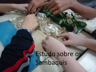 Estudo sobre os
Sambaquis
 