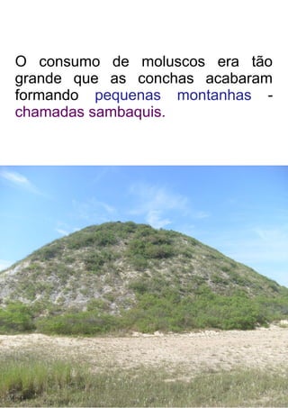 O consumo de moluscos era tão
grande que as conchas acabaram
formando pequenas montanhas -
chamadas sambaquis.
 