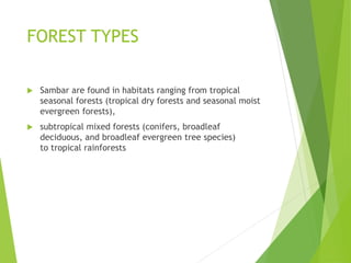 FOREST TYPES
 Sambar are found in habitats ranging from tropical
seasonal forests (tropical dry forests and seasonal moist
evergreen forests),
 subtropical mixed forests (conifers, broadleaf
deciduous, and broadleaf evergreen tree species)
to tropical rainforests
 