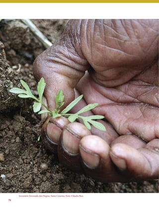 76 
Inventário Invernada dos Negros, Santa Catarina. Foto: Cláudia Reis. 
 
