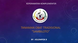 TANAMAN OBAT TRADISIONAL
“SAMBILOTO”
BY : KELOMPOK 8 1
KEPERAWATAN KOMPLEMENTER
 