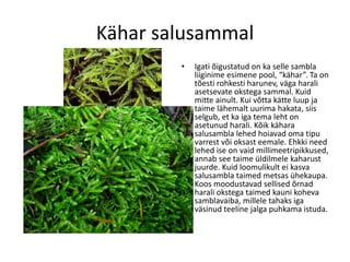 Samblad Samblad | PDF
