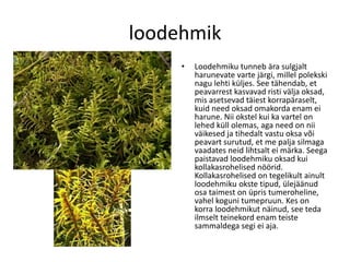 Samblad Samblad | PDF
