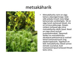 Samblad Samblad | PDF