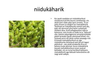 Samblad Samblad | PDF