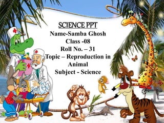 SCIENCE PPT
Name-Samba Ghosh
Class -08
Roll No. – 31
Topic – Reproduction in
Animal
Subject - Science
 