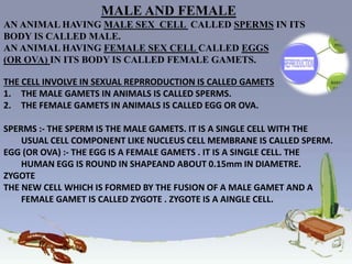 MALE AND FEMALE
AN ANIMAL HAVING MALE SEX CELL CALLED SPERMS IN ITS
BODY IS CALLED MALE.
AN ANIMAL HAVING FEMALE SEX CELL CALLED EGGS
(OR OVA) IN ITS BODY IS CALLED FEMALE GAMETS.
THE CELL INVOLVE IN SEXUAL REPRRODUCTION IS CALLED GAMETS
1. THE MALE GAMETS IN ANIMALS IS CALLED SPERMS.
2. THE FEMALE GAMETS IN ANIMALS IS CALLED EGG OR OVA.
SPERMS :- THE SPERM IS THE MALE GAMETS. IT IS A SINGLE CELL WITH THE
USUAL CELL COMPONENT LIKE NUCLEUS CELL MEMBRANE IS CALLED SPERM.
EGG (OR OVA) :- THE EGG IS A FEMALE GAMETS . IT IS A SINGLE CELL. THE
HUMAN EGG IS ROUND IN SHAPEAND ABOUT 0.15mm IN DIAMETRE.
ZYGOTE
THE NEW CELL WHICH IS FORMED BY THE FUSION OF A MALE GAMET AND A
FEMALE GAMET IS CALLED ZYGOTE . ZYGOTE IS A AINGLE CELL.
 
