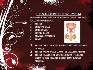 THE MALE REPRODUCTIVE SYSTEM
THE MALE REPRODUCTIVE ORGANE CONSIST OF THE
FOLLOWING ORGANS
i. TESTES
ii. SCROTAL SACS
iii. EPIDIDYMIS
iv. SPERM DUCT
v. SEMINAL VESICLES
vi. PENIS
 TESTES ARE THE REAL REEPRODUCTIVE ORGANE
IN MALE
 TESTES MAKE MALE GAMETES CALLED SPERMS
 TESTES PASSES THE SPERMS FROM THE MALE
BODY TO THE FEMALE BODYT THAT CAUSES
FUSION.
 