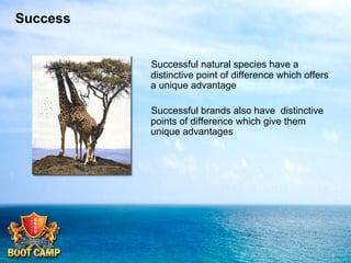 Success
 Successful natural species have a
distinctive point of difference which offers
a unique advantage
 Successful brands also have distinctive
points of difference which give them
unique advantages

 