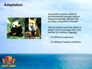 Adaptation
Successful species adapt to
environmental changes without
losing the genetic identity that
provides competitive strength
Strong brands have the ability to
adapt, and to leverage their core
identity by making it relevant
- To different customers
- To different market conditions

 