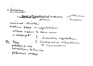 Sambuichi Workshop Karch 2008