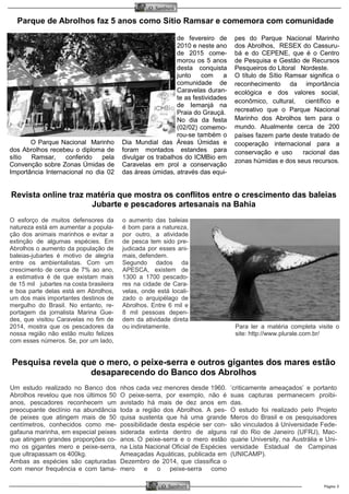 Página 5O Samburá
O Samburá
O Parque Nacional Marinho
dos Abrolhos recebeu o diploma de
sítio Ramsar, conferido pela
Convenção sobre Zonas Úmidas de
Importância Internacional no dia 02
de fevereiro de
2010 e neste ano
de 2015 come-
morou os 5 anos
desta conquista
junto com a
comunidade de
Caravelas duran-
te as festividades
de Iemanjá na
Praia do Grauçá.
No dia da festa
(02/02) comemo-
rou-se também o
Dia Mundial das Áreas Úmidas e
foram montados estandes para
divulgar os trabalhos do ICMBio em
Caravelas em prol a conservação
das áreas úmidas, através das equi-
pes do Parque Nacional Marinho
dos Abrolhos, RESEX do Cassuru-
bá e do CEPENE, que é o Centro
de Pesquisa e Gestão de Recursos
Pesqueiros do Litoral Nordeste.
O título de Sítio Ramsar significa o
reconhecimento da importância
ecológica e dos valores social,
econômico, cultural, científico e
recreativo que o Parque Nacional
Marinho dos Abrolhos tem para o
mundo. Atualmente cerca de 200
países fazem parte deste tratado de
cooperação internacional para a
conservação e uso racional das
zonas húmidas e dos seus recursos.
Parque de Abrolhos faz 5 anos como Sítio Ramsar e comemora com comunidade
Um estudo realizado no Banco dos
Abrolhos revelou que nos últimos 50
anos, pescadores reconhecem um
preocupante declínio na abundância
de peixes que atingem mais de 50
centímetros, conhecidos como me-
gafauna marinha, em especial peixes
que atingem grandes proporções co-
mo os gigantes mero e peixe-serra,
que ultrapassam os 400kg.
Ambas as espécies são capturadas
com menor frequência e com tama-
nhos cada vez menores desde 1960.
O peixe-serra, por exemplo, não é
avistado há mais de dez anos em
toda a região dos Abrolhos. A pes-
quisa sustenta que há uma grande
possibilidade desta espécie ser con-
siderada extinta dentro de alguns
anos. O peixe-serra e o mero estão
na Lista Nacional Oficial de Espécies
Ameaçadas Aquáticas, publicada em
Dezembro de 2014, que classifica o
mero e o peixe-serra como
‘criticamente ameaçados’ e portanto
suas capturas permanecem proibi-
das.
O estudo foi realizado pelo Projeto
Meros do Brasil e os pesquisadores
são vinculados à Universidade Fede-
ral do Rio de Janeiro (UFRJ), Mac-
quarie University, na Austrália e Uni-
versidade Estadual de Campinas
(UNICAMP).
Pesquisa revela que o mero, o peixe-serra e outros gigantes dos mares estão
desaparecendo do Banco dos Abrolhos
Revista online traz matéria que mostra os conflitos entre o crescimento das baleias
Jubarte e pescadores artesanais na Bahia
O esforço de muitos defensores da
natureza está em aumentar a popula-
ção dos animais marinhos e evitar a
extinção de algumas espécies. Em
Abrolhos o aumento da população de
baleias-jubartes é motivo de alegria
entre os ambientalistas. Com um
crescimento de cerca de 7% ao ano,
a estimativa é de que existam mais
de 15 mil jubartes na costa brasileira
e boa parte delas está em Abrolhos,
um dos mais importantes destinos de
mergulho do Brasil. No entanto, re-
portagem da jornalista Marina Gue-
des, que visitou Caravelas no fim de
2014, mostra que os pescadores da
nossa região não estão muito felizes
com esses números. Se, por um lado,
o aumento das baleias
é bom para a natureza,
por outro, a atividade
de pesca tem sido pre-
judicada por esses ani-
mais, defendem.
Segundo dados da
APESCA, existem de
1300 a 1700 pescado-
res na cidade de Cara-
velas, onde está locali-
zado o arquipélago de
Abrolhos. Entre 6 mil e
8 mil pessoas depen-
dem da atividade direta
ou indiretamente. Para ler a matéria completa visite o
site: http://www.plurale.com.br/
 