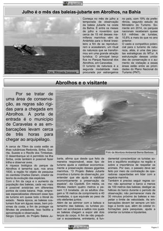 Página 5O Samburá
O Samburá
Começa no mês de julho a
temporada de observação
da baleia Jubarte na costa
da Bahia. É entre os meses
de julho e novembro que
cerca de 15 mil desses ma-
míferos marinhos vêm da
Antártida para o litoral brasi-
leiro a fim de se reproduzi-
rem e acasalarem, um ritual
da natureza que se transfor-
mou em uma grande atração
turística. O principal berço
fica no Parque Nacional dos
Abrolhos, em Caravelas.
O turismo de natureza é a
segunda modalidade mais
procurada por estrangeiros
no país, com 19% da prefe-
rência, segundo estudo do
Ministério do Turismo. So-
mente em 2014, os parques
nacionais receberam quase
6,6 milhões de turistas,
10,8% a mais do que no ano
anterior.
O vasto e competitivo poten-
cial para o turismo de natu-
reza, aliás, é uma das pau-
tas estratégicas do MTur. A
estruturação dessas unida-
des de conservação e o au-
mento da visitação a essas
áreas estão entre as priori-
dades do Plano Nacional do
Turismo (PNT).
Por se tratar de
uma área de conserva-
ção, as regras são rígi-
das para a chegada em
Abrolhos. A porta de
entrada é o município
de Caravelas e as em-
barcações levam cerca
de três horas para
chegar ao arquipélago.
A cerca de 70km da costa estão as
ilhas vulcânicas Redonda, Siriba, Gua-
rita, Sueste e o Recife dos Timbebas.
O desembarque só é permitido na ilha
Siriba, onde também é possível fazer
trilha e observar aves.
A riqueza biológica do parque de
Abrolhos é tamanha que, nos anos
1830, a região foi objeto de pesquisa
do cientista Charles Darwin, criador da
teoria da evolução das espécies.
Com o fim da caça e o aumento da
população das baleias, cada vez mais
é possível avistá-las em diferentes
pontos da costa baiana. Hoje, empre-
sas especializadas oferecem esse tipo
de turismo em quase todo o litoral do
estado. Nesta época, as baleias cos-
tumam ficar em águas rasas, bem pró-
ximas da costa, a fim de proteger os
filhotes de predadores. Isso facilita a
aproximação e observação.
Sérgio Cipolotti, do Projeto Baleia Ju-
barte, afirma que desde que feito de
maneira responsável, esse tipo de
turismo ajuda a viabilizar economica-
mente a preservação desses gigantes
marinhos. “O Projeto Baleia Jubarte
incentiva o turismo de observação, por
entender que ele ajuda a viabilizar
economicamente a preservação da
espécie”, diz Cipolotti. Em média, os
filhotes medem quatro metros e pe-
sam 1,5 tonelada. Já os adultos che-
gam a 16 metros de comprimento e 40
toneladas, o que equivale ao peso de
oito elefantes juntos.
Além de se admirar com a beleza e
tamanho das baleias, os turistas po-
dem ver acrobacias e saltos nos quais
as baleias chegam a expor até dois
terços do corpo. A fim de não prejudi-
car o ecossistema, entretanto, é fun-
damental conscientizar os turistas so-
bre o equilíbrio ecológico na região e
sobre a importância de respeitar os
animais. Por isso, o passeio deve ser
feito por meio da contratação de ope-
radoras capacitadas em lidar com a
espécie marinha.
Também é preciso seguir regras co-
mo: não aproximar o barco a menos
de 100 metros das baleias; desligar as
hélices do barco durante o período de
observação; não permanecer mais de
30 minutos próximo às baleias e res-
peitar o limite de velocidade. As em-
barcações devem ter sempre um bió-
logo a bordo que, além de coletar in-
formações para pesquisas, ajuda a
orientar os turistas e tripulantes.
Abrolhos e o visitante
Julho é o mês das baleias-jubarte em Abrolhos, na Bahia
Foto: Wikimedia Commons
Foto da Monitora Ambiental Berna Barbosa.
 