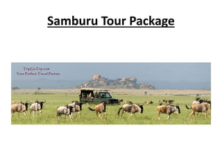 Samburu Tour Package
 