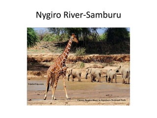 Nygiro River-Samburu
 