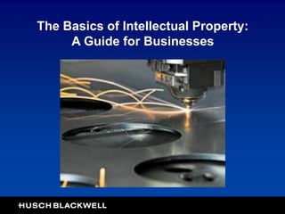 The Basics of Intellectual Property:
A Guide for Businesses
 