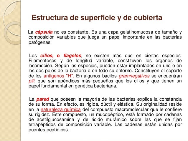 La medida de la profiláctica el contagio de las lombrices