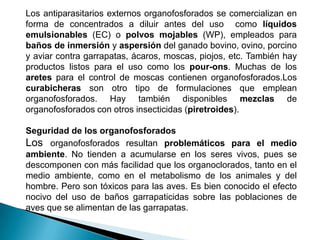 Los antiparasitarios externos organofosforados se comercializan en
forma de concentrados a diluir antes del uso como líquidos
emulsionables (EC) o polvos mojables (WP), empleados para
baños de inmersión y aspersión del ganado bovino, ovino, porcino
y aviar contra garrapatas, ácaros, moscas, piojos, etc. También hay
productos listos para el uso como los pour-ons. Muchas de los
aretes para el control de moscas contienen organofosforados.Los
curabicheras son otro tipo de formulaciones que emplean
organofosforados. Hay también disponibles mezclas de
organofosforados con otros insecticidas (piretroides).
Seguridad de los organofosforados
Los organofosforados resultan problemáticos para el medio
ambiente. No tienden a acumularse en los seres vivos, pues se
descomponen con más facilidad que los organoclorados, tanto en el
medio ambiente, como en el metabolismo de los animales y del
hombre. Pero son tóxicos para las aves. Es bien conocido el efecto
nocivo del uso de baños garrapaticidas sobre las poblaciones de
aves que se alimentan de las garrapatas.
 
