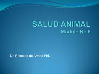 Dr. Reinaldo de Armas PhD.
 