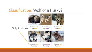 Only 1 mistake!
Classification: Wolf or a Husky?
 