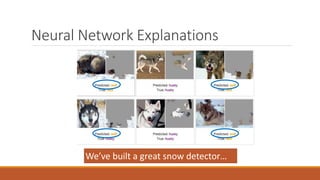 Neural Network Explanations
We’ve built a great snow detector…
 
