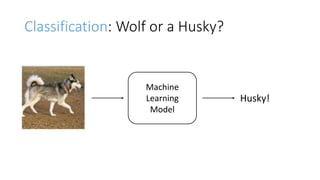 Classification: Wolf or a Husky?
Machine
Learning
Model
Husky!
 