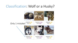 Only 1 mistake!
Classification: Wolf or a Husky?
 
