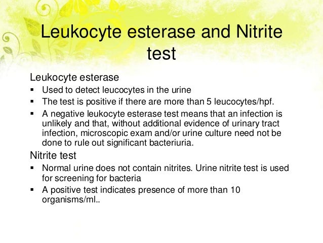 What does esterase in urine mean?