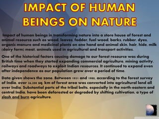 Forest And Wildlife Resources - $@mEe | PPTX