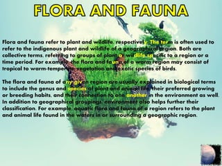 Forest And Wildlife Resources - $@mEe | PPTX
