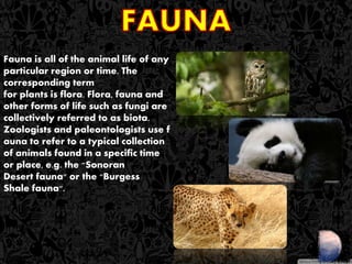 Forest And Wildlife Resources - $@mEe | PPTX