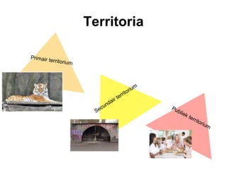 Territoria
 
