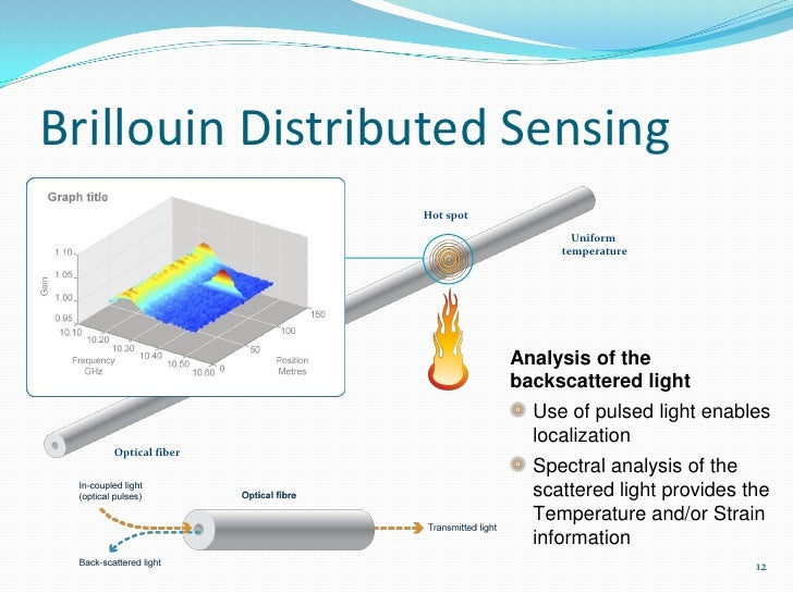 Samer najjar fiber optic leak detection