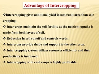 Intercropping gives additional yield income/unit area than sole
cropping.
 Inter-crops maintain the soil fertility as the nutrient uptake is
made from both layers of soil.
 Reduction in soil runoff and controls weeds.
 Intercrops provide shade and support to the other crop.
 Inter cropping system utilizes resources efficiently and their
productivity is increased.
 Intercropping with cash crops is highly profitable.
Advantage of Intercropping
 