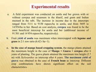 a. A field experiment was conducted on aonla and ber grown with or
without cowpea and sesamum in the kharif, and gram and Indian
mustard in the rabi. The increase in income due to the intercrops
ranged from 5111 to 9150 rupees/ha in aonla, and from 5695 to
14 954/ha in ber. Based on cost analysis, cowpea was found to be the
most beneficial intercrop for aonla and ber (additional income of
91 501 and 14 954 rupees/ha, respectively).
Experimental results
b. Fruit yield of aonla was maximum when intercropped with legume and
grass in 2:1 row ratio (6.42 t ha−1).
c. In the case of mango based cropping system, the mango plants attained
the maximum height in the case of Mango + Guava + cowpea after 6
years of planting. The guava plants attained the maximum tree height (2.7
m) with Stylosanthes as intercrop after 4 years. The maximum yield of
guava was obtained in the case of French bean as intercrop. Different
crop combinations have shown significant effect on the soil
characteristics.
 