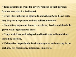 Take leguminous crops for cover cropping so that nitrogen
fixation in orchard is facilitated.
Crops like sunhemp in light soils and Dhaincha in heavy soils
may be grown to protect orchard soil from erosion.
Colocasia, ginger, and turmeric are heavy feeder and should be
grown with supplemental doses.
Crops which are well adapted to climatic and soil conditions
should be selected.
 Exhaustive crops should be discouraged as an intercrop in the
orchard. e.g. Sugarcane, pigeonpea, maize etc.
 