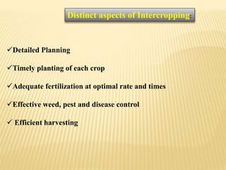 Detailed Planning
Timely planting of each crop
Adequate fertilization at optimal rate and times
Effective weed, pest and disease control
 Efficient harvesting
Distinct aspects of Intercropping:
 