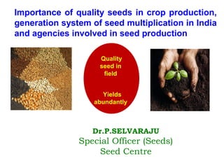 Dr.P.SELVARAJU
Special Officer (Seeds)
Seed Centre
Importance of quality seeds in crop production,
generation system of seed multiplication in India
and agencies involved in seed production
Quality
seed in
field
Yields
abundantly
 