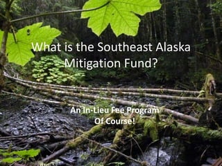 What is the Southeast Alaska
Mitigation Fund?
An In-Lieu Fee Program
Of Course!
 