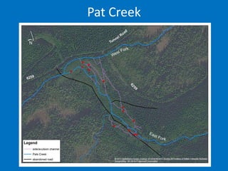 West Fork Assessment
(160 meter reach)
 