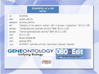 EXAMPLE of a GO
term:
 