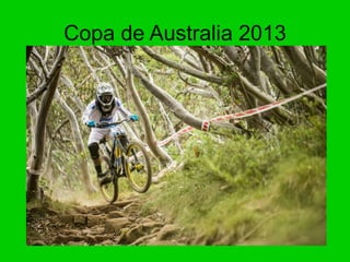 Copa de Australia 2013
 