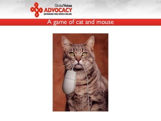 A game of cat and mouse 