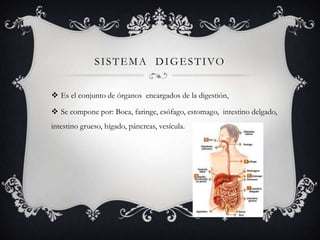 S I S T E M A D I G E S T I VO
Es el conjunto de órganos encargados de la digestión,
Se compone por: Boca, faringe, esófago, estomago, intestino delgado,
intestino grueso, hígado, páncreas, vesícula.