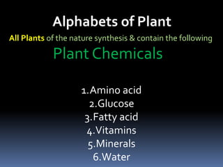 All Plants of the nature synthesis & contain the following
Plant Chemicals
1.Amino acid
2.Glucose
3.Fatty acid
4.Vitamins
5.Minerals
6.Water
Alphabets of Plant
 
