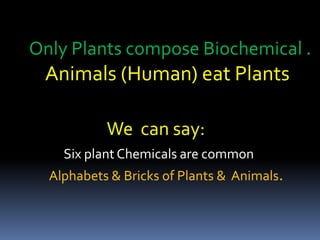 Only Plants compose Biochemical .
Animals (Human) eat Plants
We can say:
Six plant Chemicals are common
Alphabets & Bricks of Plants & Animals.
 