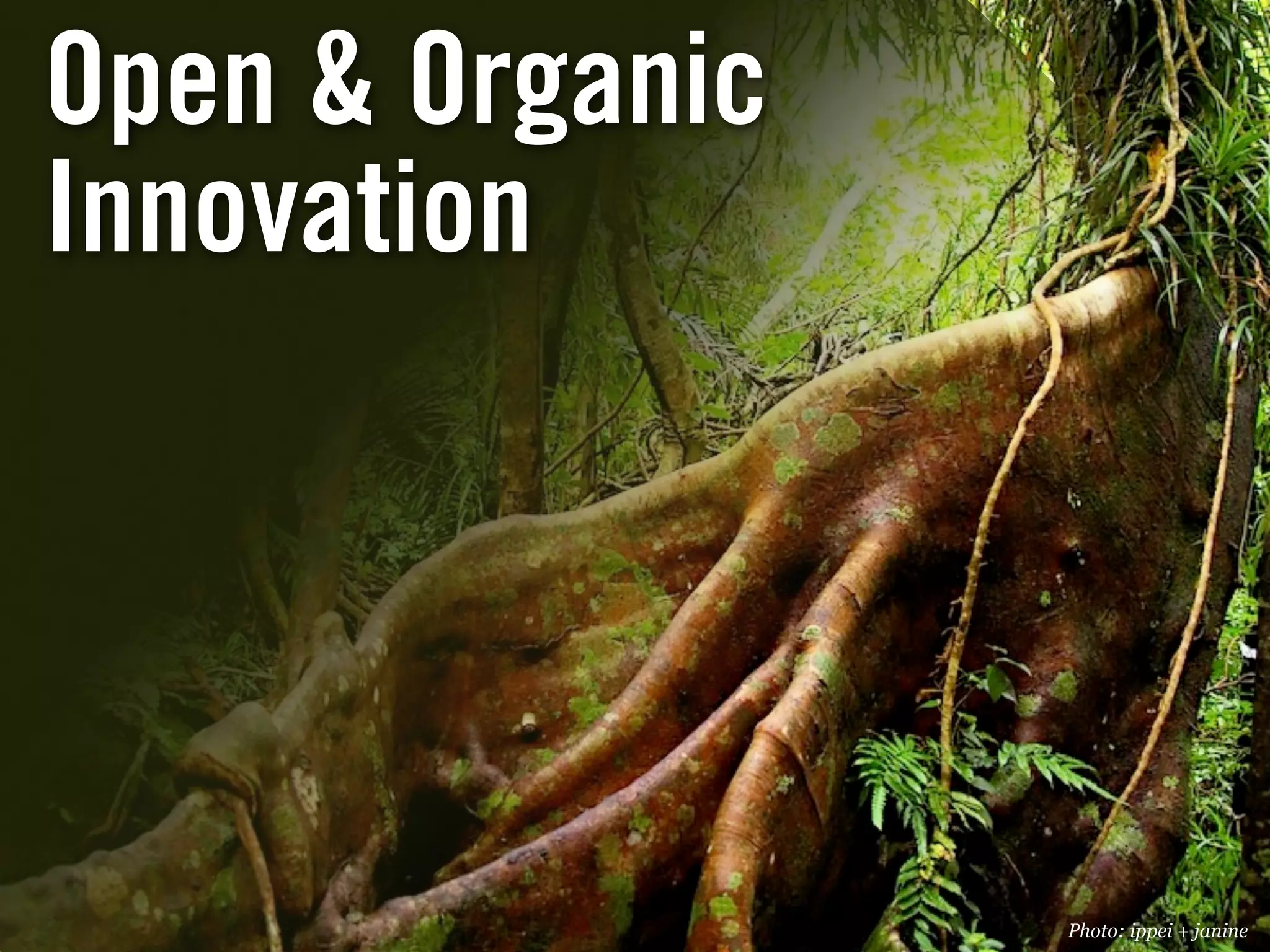 Sam Inkinen Open Innovation and Web 2.0